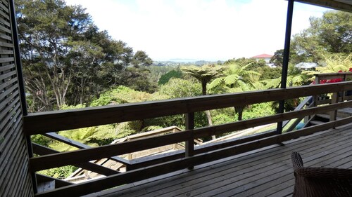 Explore bush and beach in Titirangi
