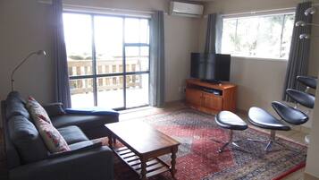 TV, DVD player, books, video library