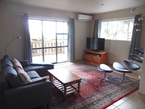 TV, DVD player, books, video library