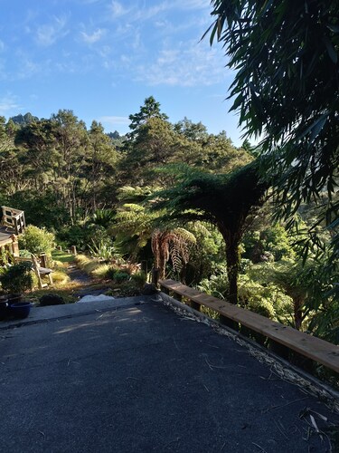 Explore bush and beach in Titirangi
