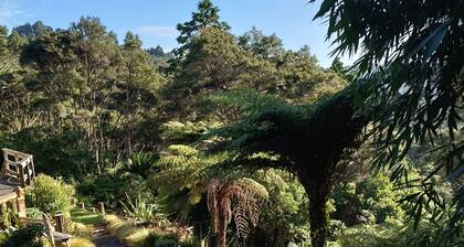 Explore bush and beach in Titirangi