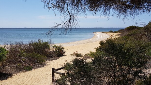 A sandy beach with a wooden path leading to the water, surrounded by dense vegetation. - Lakeside Beach House - Child & Dog Friendly (Loch Sport)