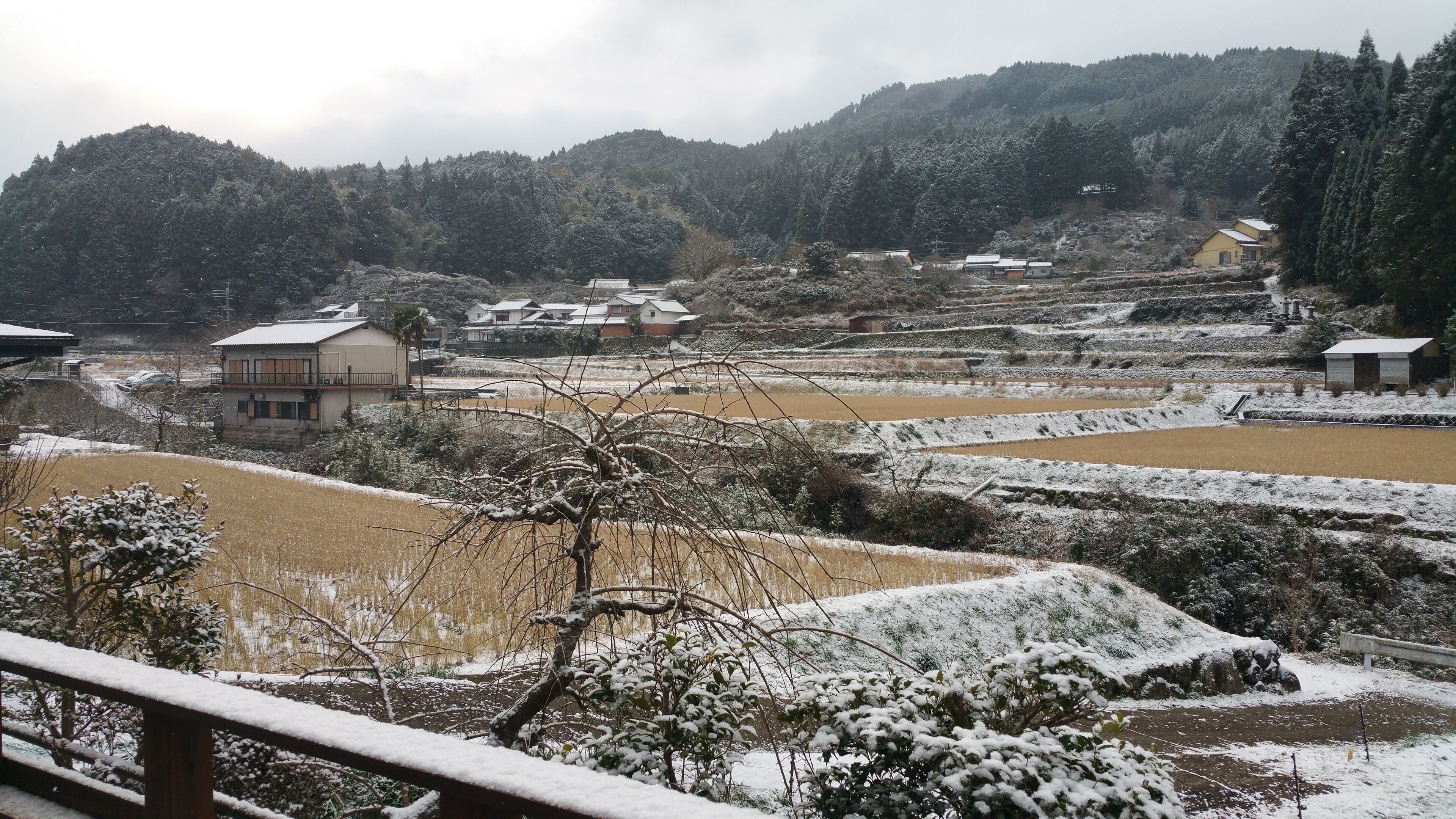 A rural landscape with snow-covered fields, houses, and a mountain in the background.