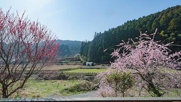 Ház (Private Vacation Home) | Kilátás a szobából