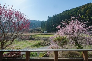 Private Vacation Home | View from room