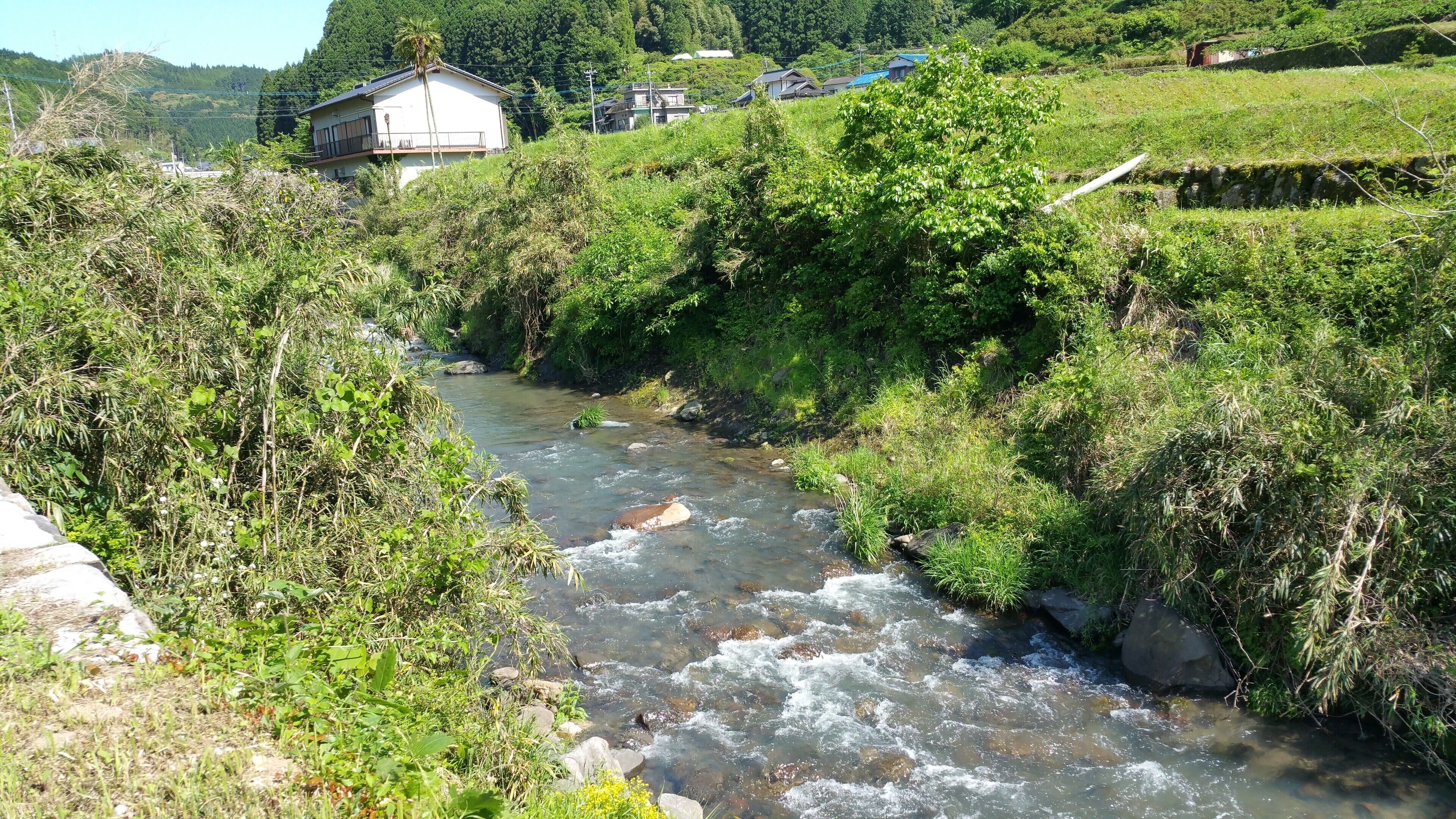 A river flowing through a lush, green landscape with a house in the background.