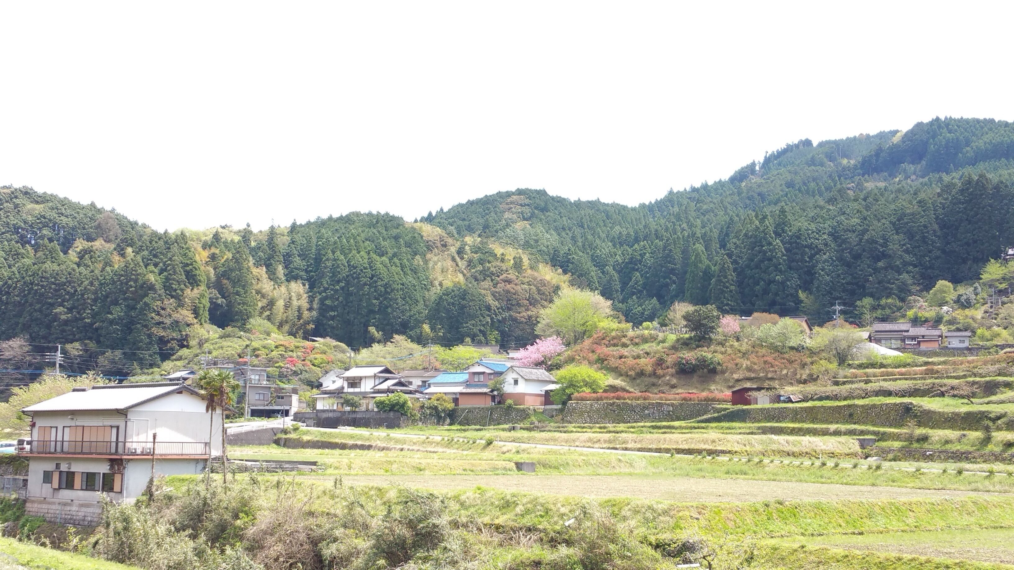A rural landscape with terraced fields, traditional houses, and dense forested hills in the background.