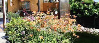 Vacation apartment (Bielefeldt, Wolfgang) - Holiday apartment