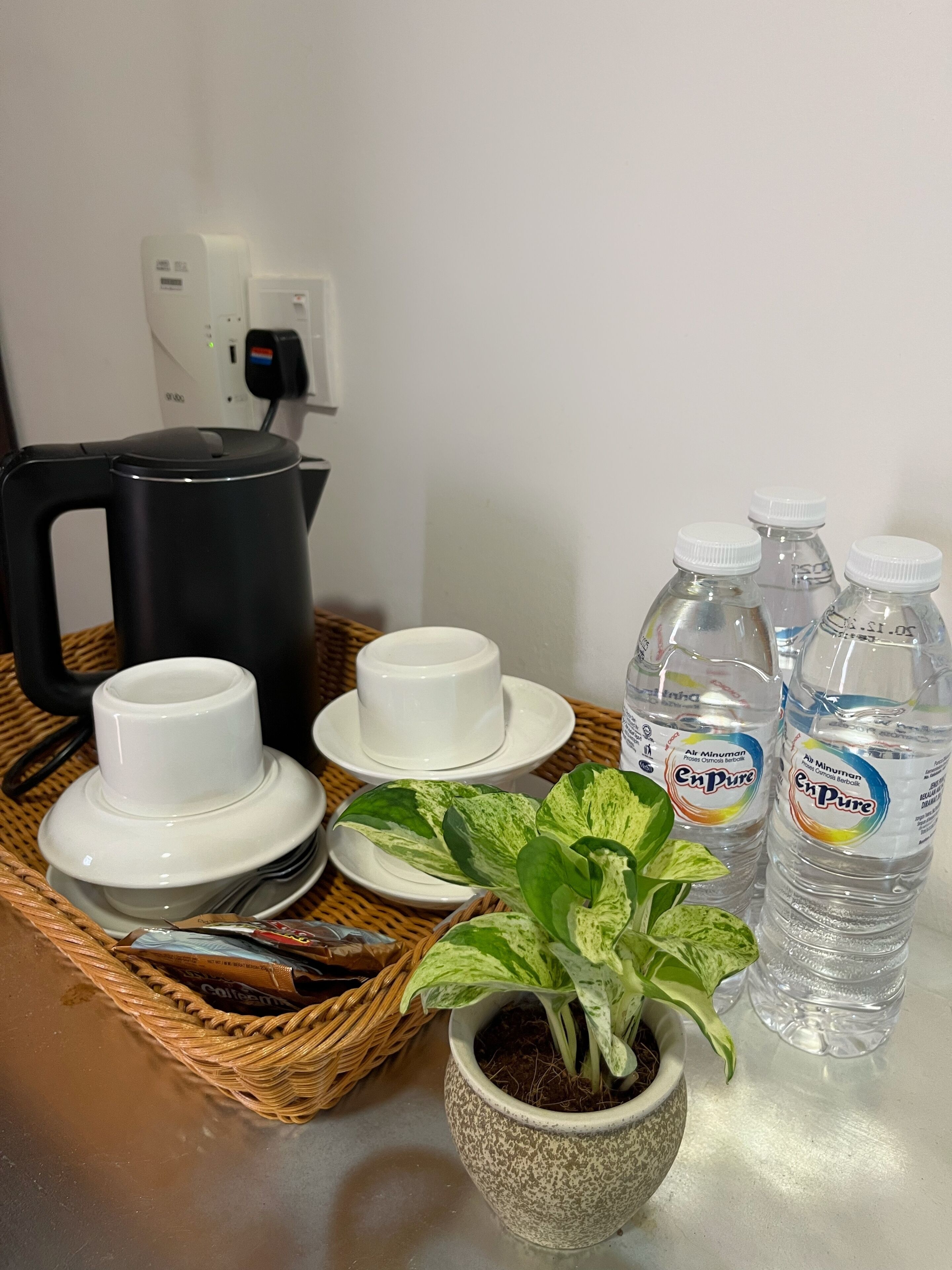 A table with a coffee maker, two white cups, saucers, a potted plant, and four bottles of water.
