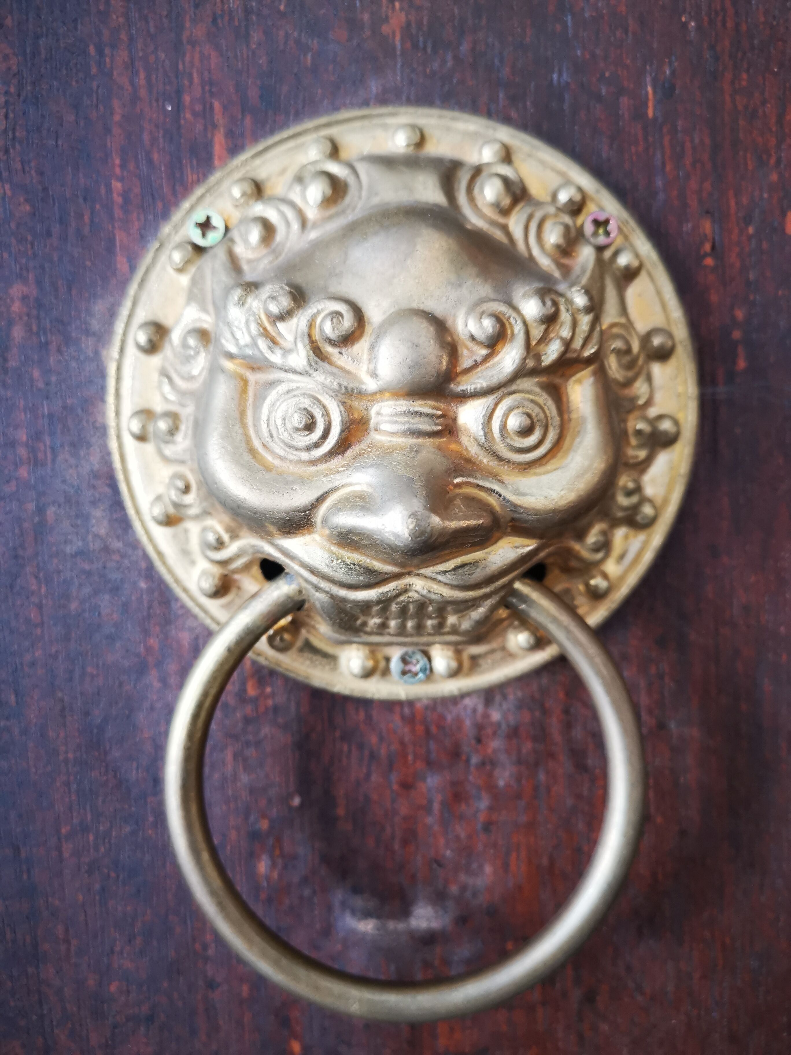 A brass door knocker with a circular design and a ring handle.