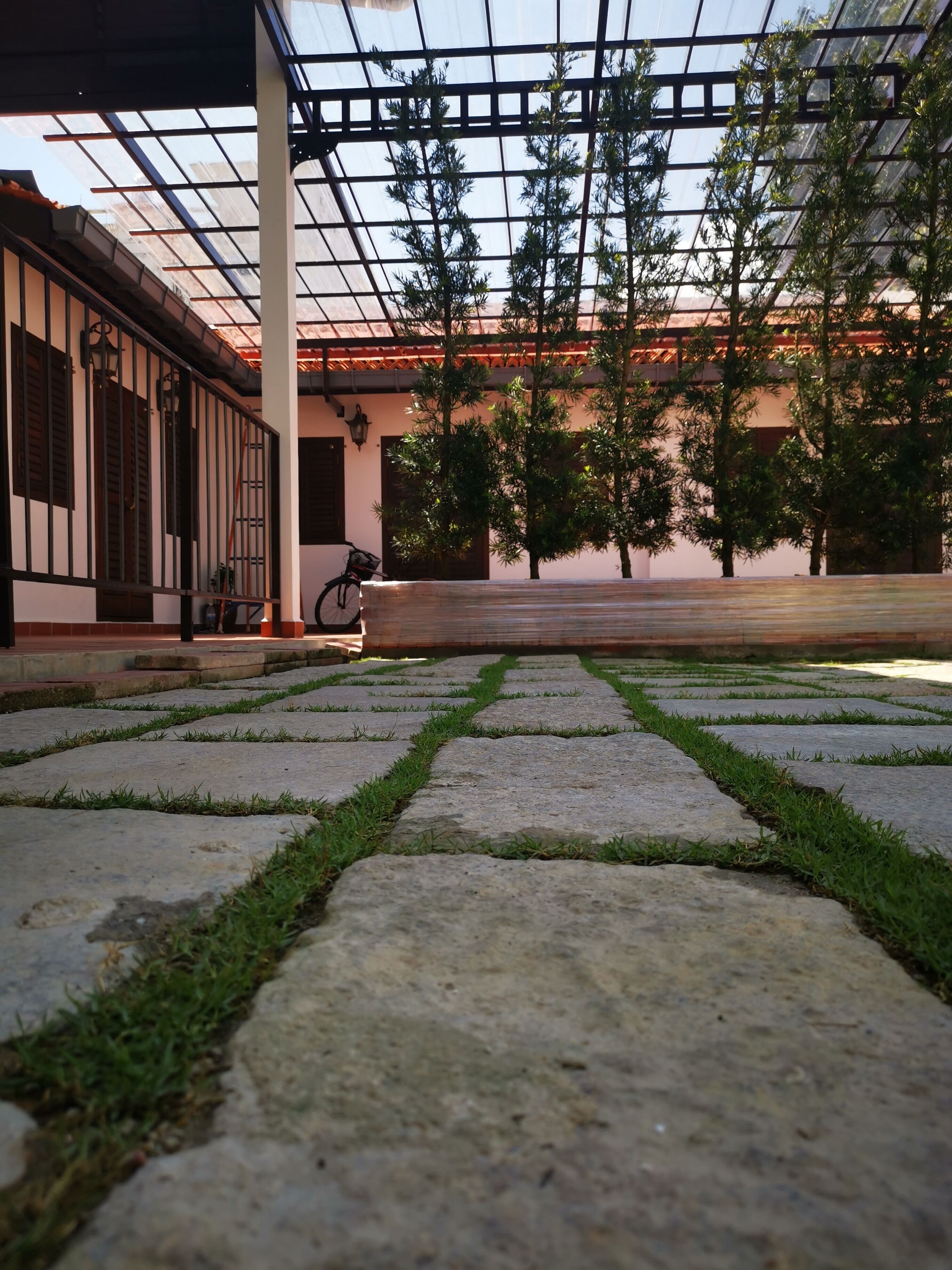Une cour avec un chemin pavé, un vélo et une pergola couverte de plantes grimpantes.