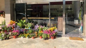 A storefront with a variety of potted plants in front. - Read Nice House (Wujie)