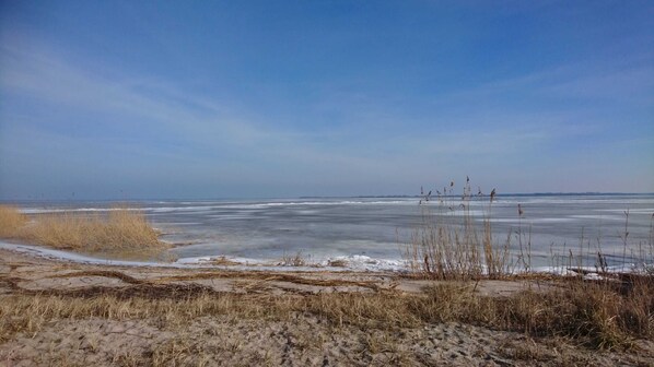 A frozen landscape with sparse vegetation and a clear sky.