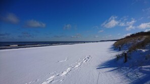 Tæt på stranden