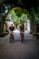 Ciclismo