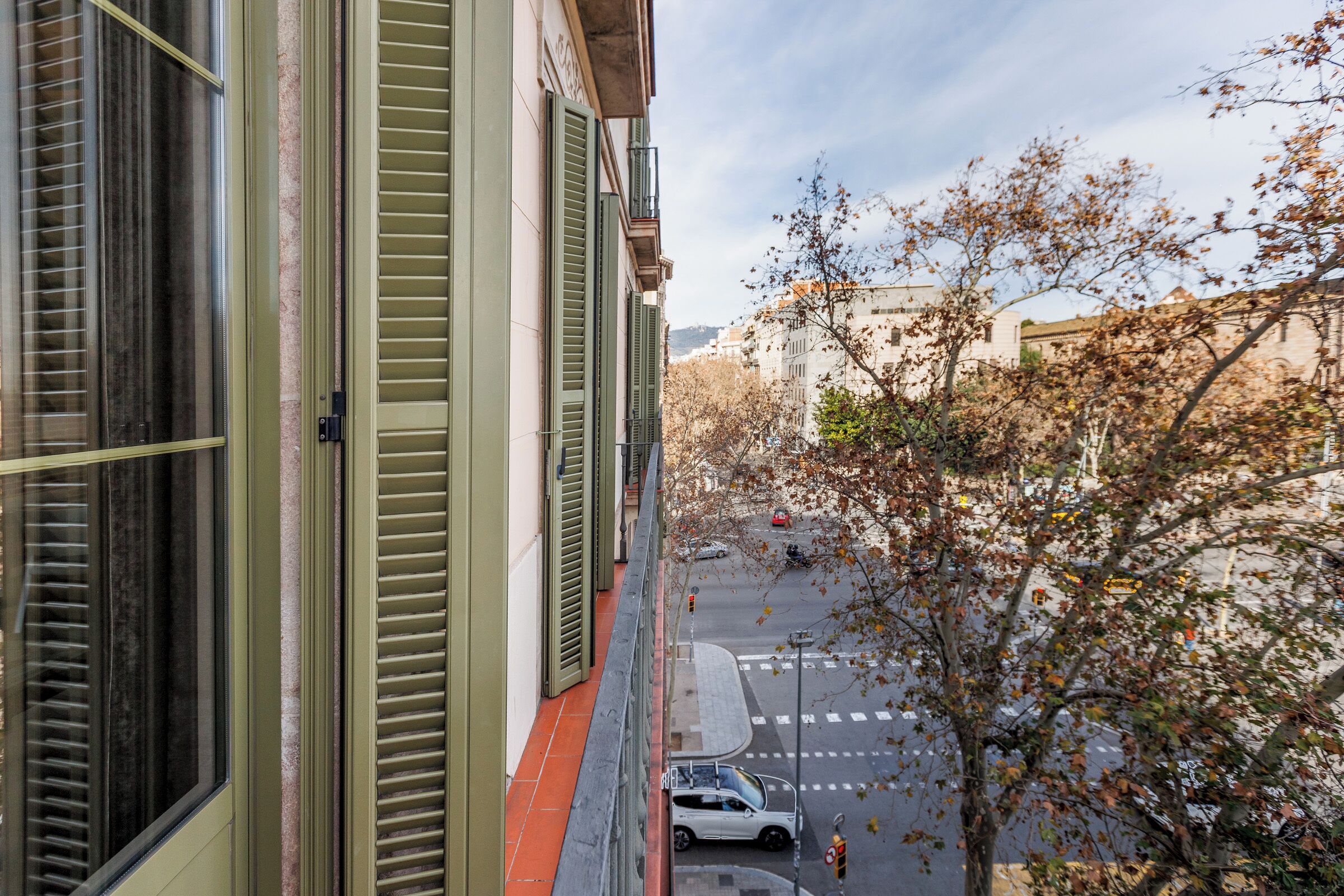 A view from a window overlooking a street with a tree and buildings in the background.