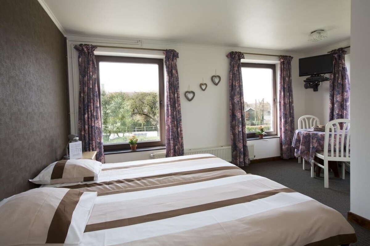 Ein Hotelzimmer mit zwei Betten, einem Tisch mit Stühlen, einem Fernseher und einem Fenster mit Vorhängen.