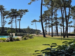 A well-maintained lawn with tall trees, a swimming pool, and a clear sky.