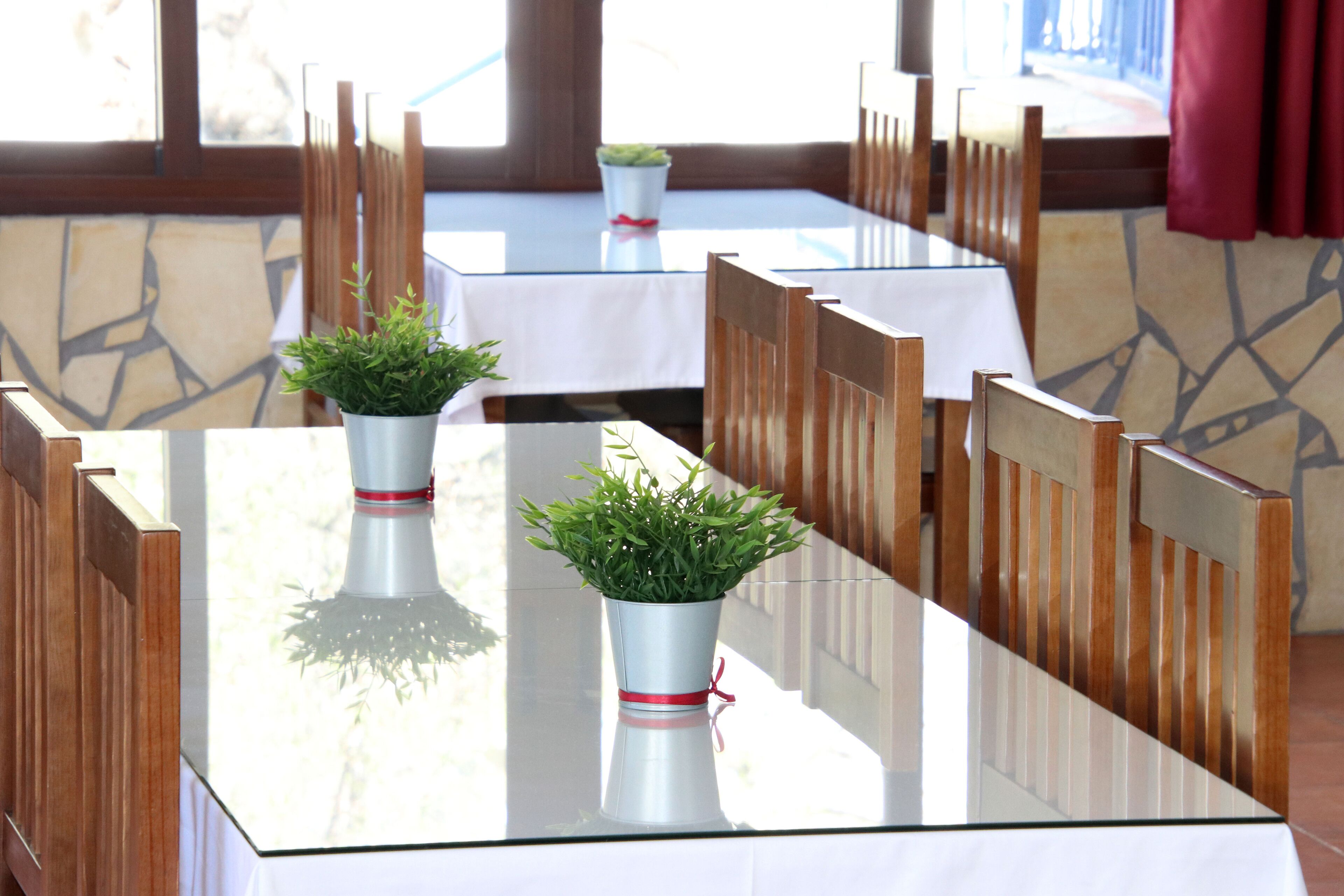 A dining area with glass tables and wooden chairs, each with a small plant in a white vase.