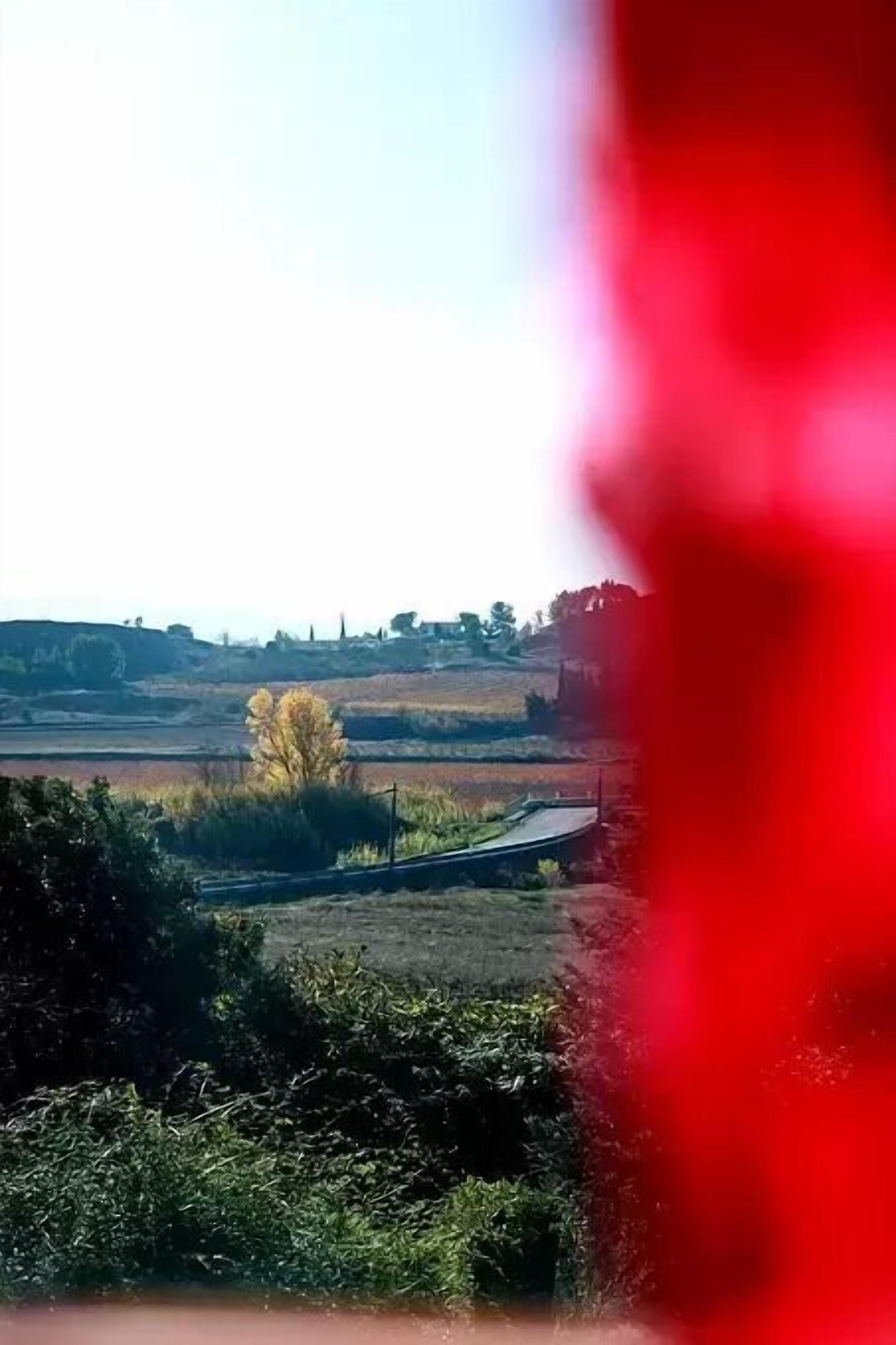 Un paysage rural avec une route, de la végétation et des bâtiments situés au loin.