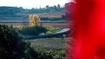 Paisaje rural con una carretera, vegetación y edificios a lo lejos.