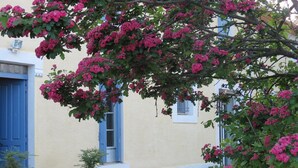 A building with a blue door and windows, surrounded by gravel and potted plants with pink flowers. - Domaine du Siestou Wine Resort & Spa (Laure-Minervois)