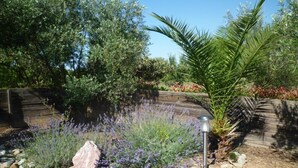 A garden with various plants, a wooden bench, and a stone pathway. - Domaine du Siestou Wine Resort & Spa (Laure-Minervois)