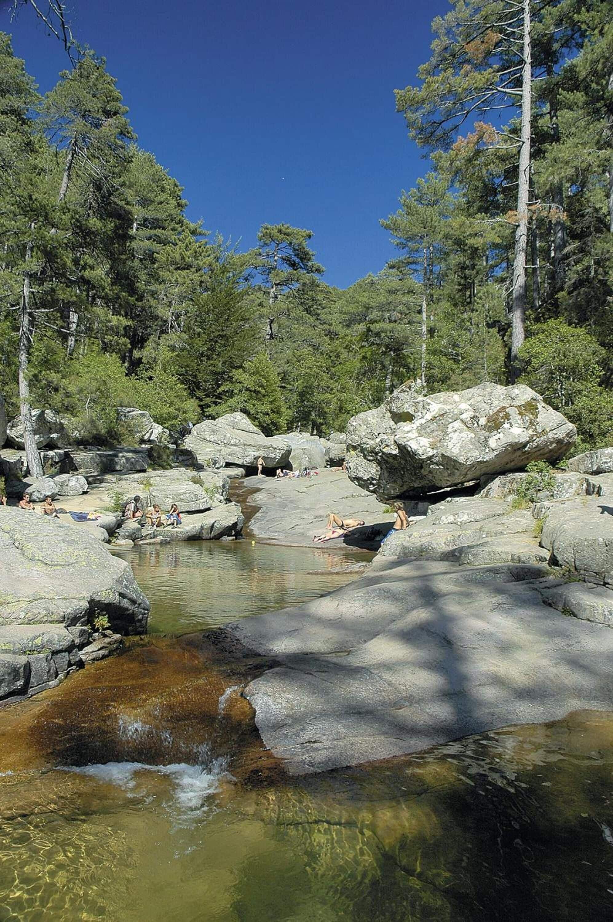 Un paysage naturel rocheux, avec une eau claire et des arbres.