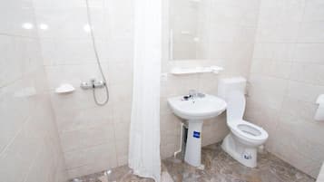 Shower, free toiletries, hair dryer, towels