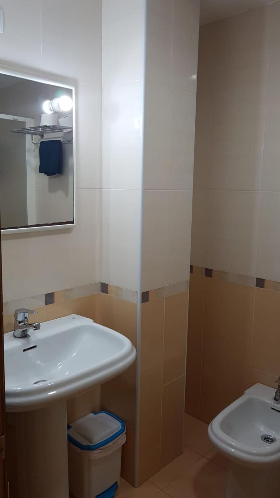 A bathroom with a sink, bidet, and mirror.