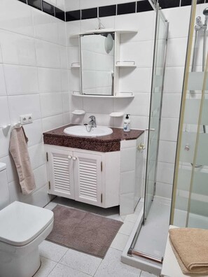Shower, hair dryer, towels, toilet paper