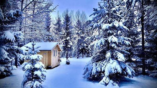 Tipi trösten den Luxus