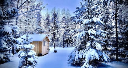 Tipi trösten den Luxus