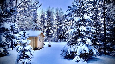 Teepee in the forest