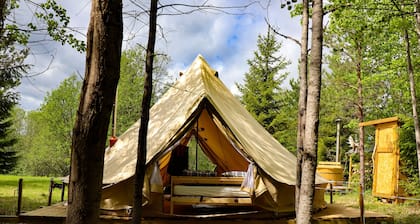 Teepee in the forest