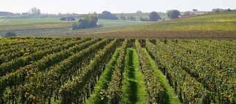 Vacation apartment 2 Hohenrain - Weingut Schaaf