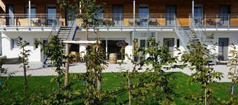 Lejlighed 3 terrasse beliggenhed Berg - Weingut Schaaf