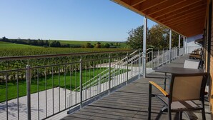 Un espace extérieur abrité, doté d’une terrasse en bois, d’une rambarde en métal et d’une table avec des chaises.