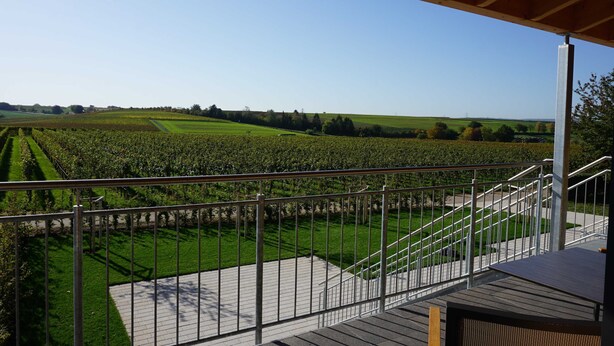Un balcon avec vue sur un vignoble et un ciel dégagé.
