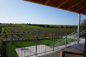 A balcony with a view of a vineyard and a clear sky.