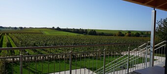 Lägenhet 4 Osterhofen - Weingut Schaaf