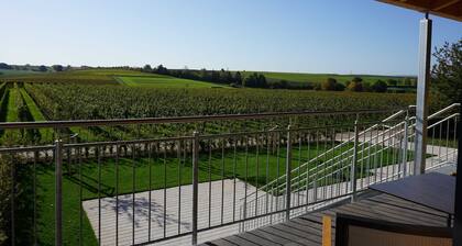 Vacation apartment 4 Osterhofen - Weingut Schaaf
