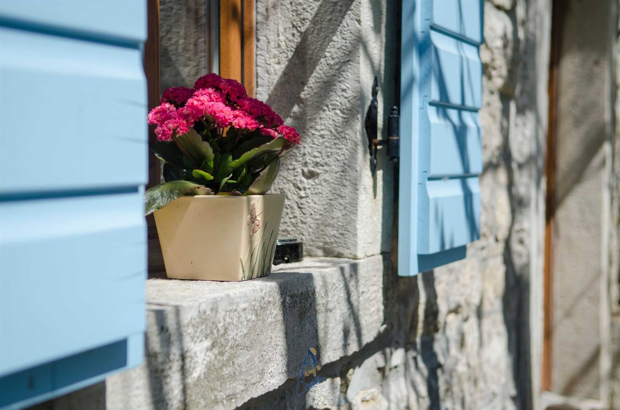 Una planta en maceta con flores rosas sobre un alféizar de piedra junto a un edificio con contraventanas azules.