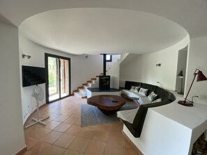 TV connectée, cheminée, livres