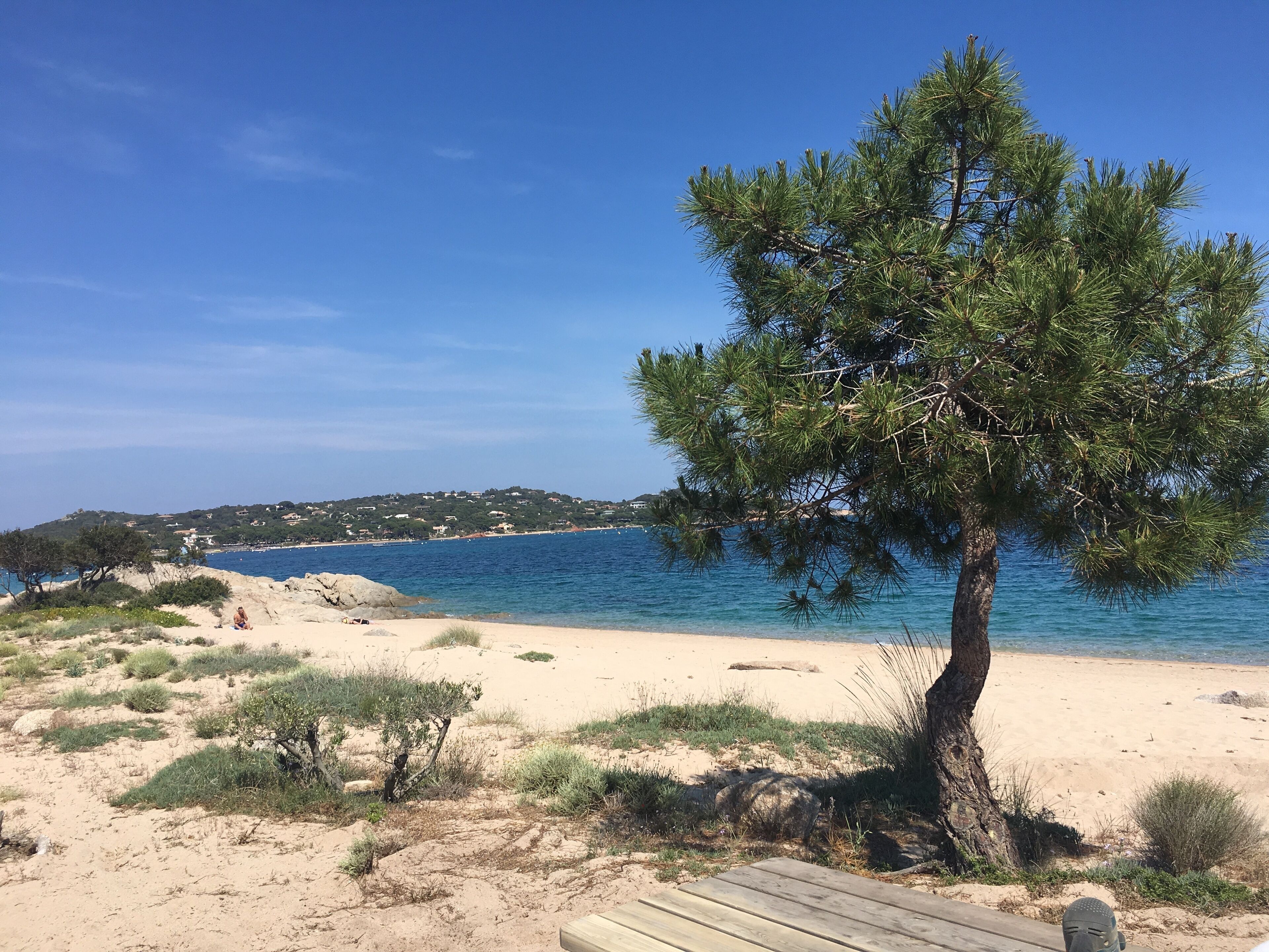 Plage, chaises longues
