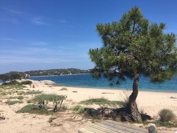Plage, chaises longues