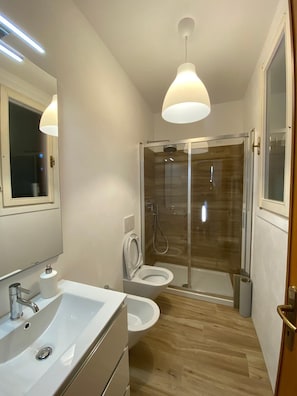 Shower, hair dryer, bidet, towels