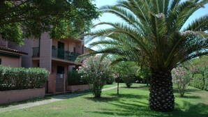 A building with a brick facade, a balcony, and a palm tree in the foreground. - Maristella, a few steps from the center and the beach (Marina di Campo)