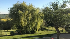 A garden with a paved path, green grass, and trees. - Chambre d'Hôte Pivoine (Fralignes)