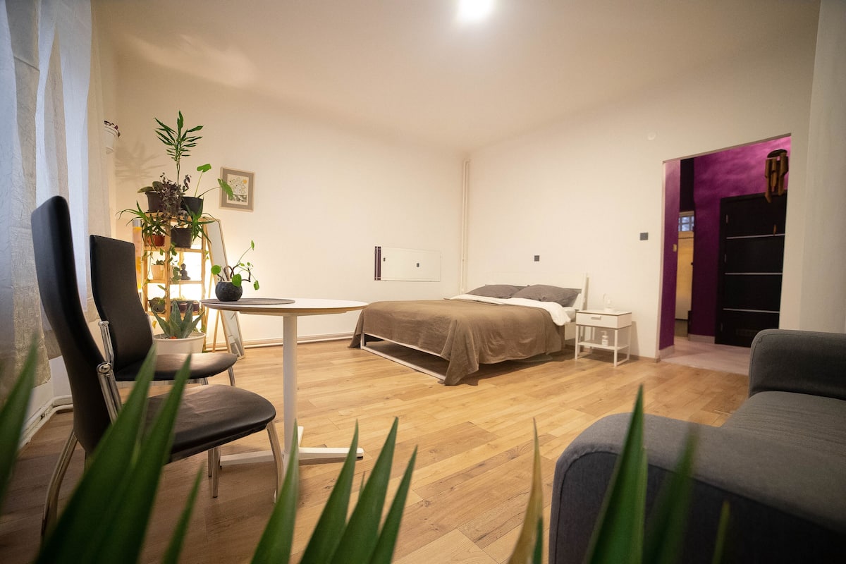 Leilighet (Safari) | Individuelt dekorert, individuelt innredet og skrivebord for bærbar PC